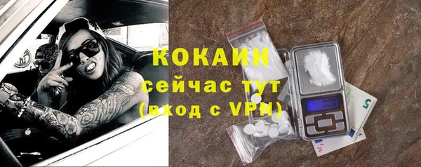амф Корсаков