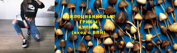 круглые Коряжма