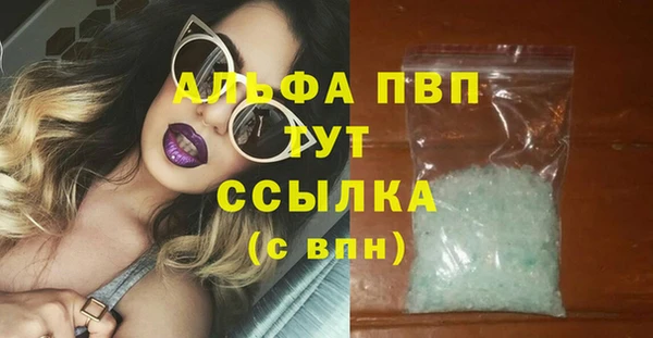 амф Корсаков