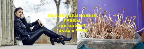 амф Корсаков